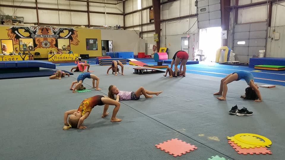  Tiger Academy of Gymnastics