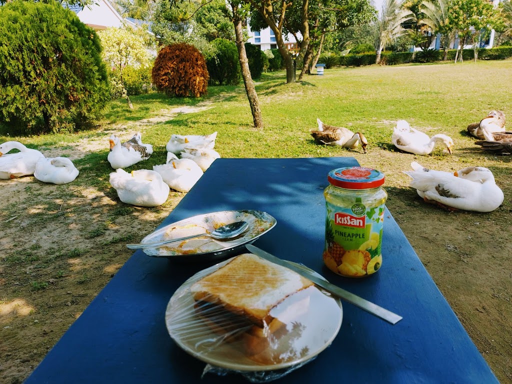 Food & drink