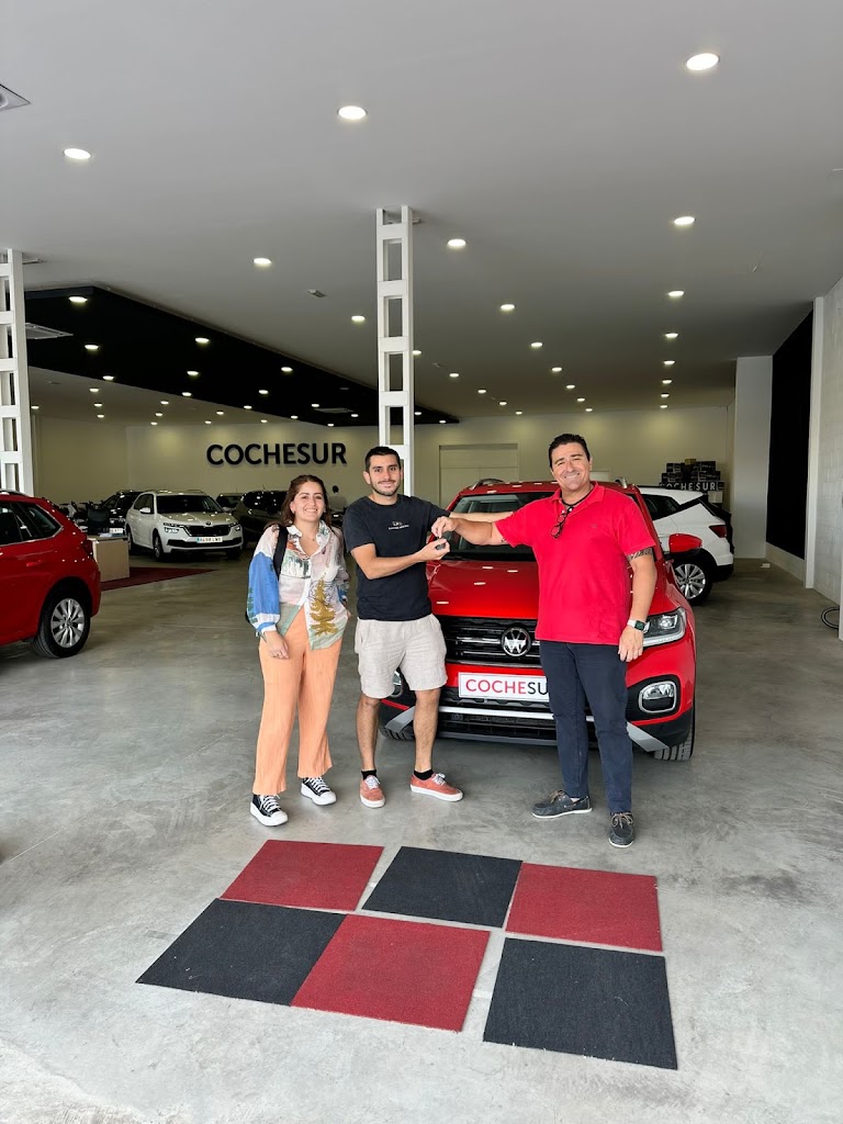 Cochesur — Concesionario de automoviles