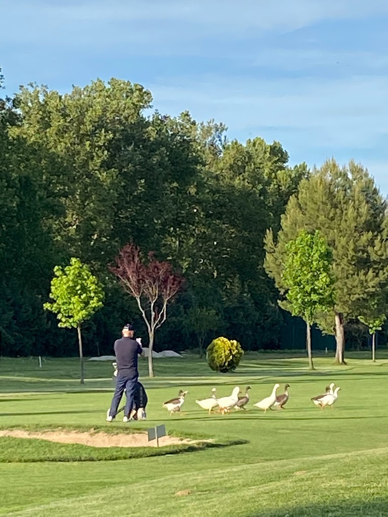 Club de Golf Aranjuez