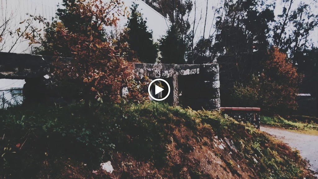 AAVV de Camos — Videos