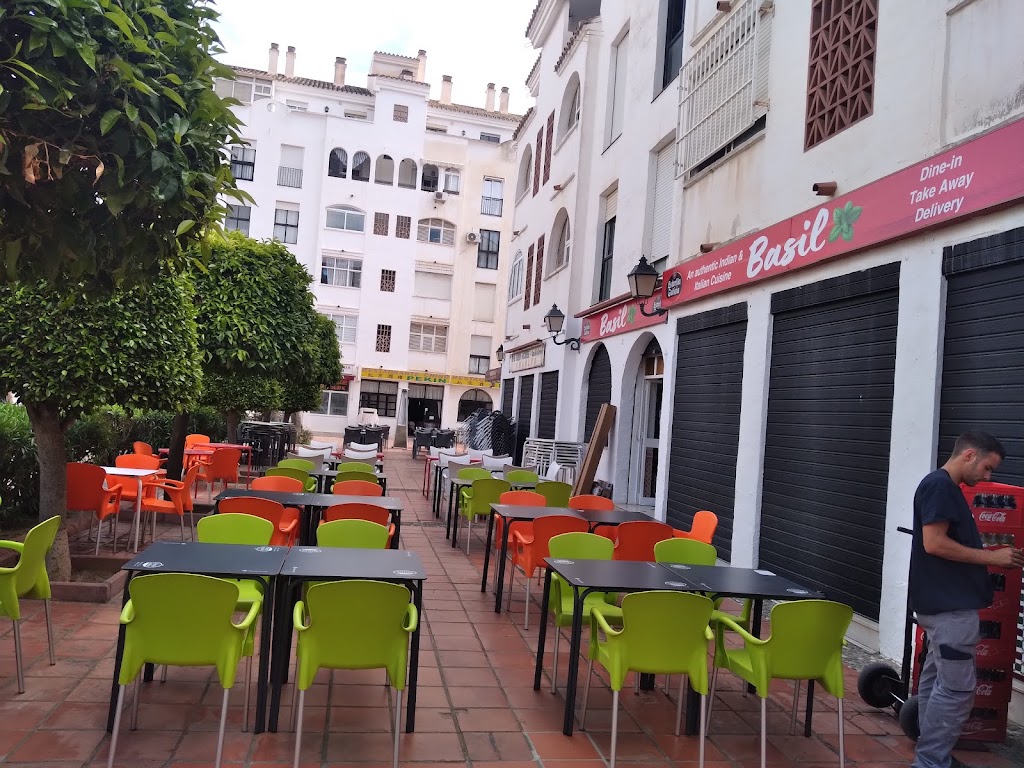 Basil — Ambiente