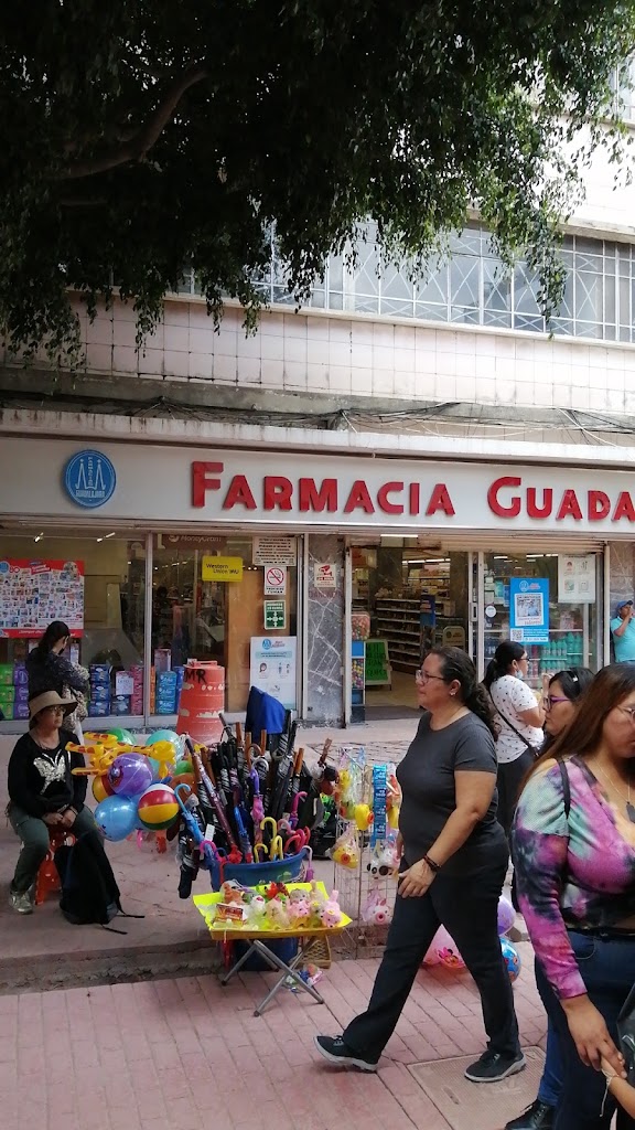 Farmacias Guadalajara Sa De Cv — Todas