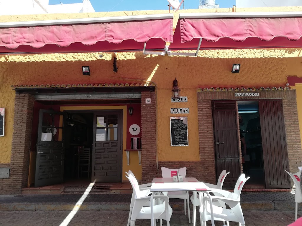 Restaurante Meson Plumas