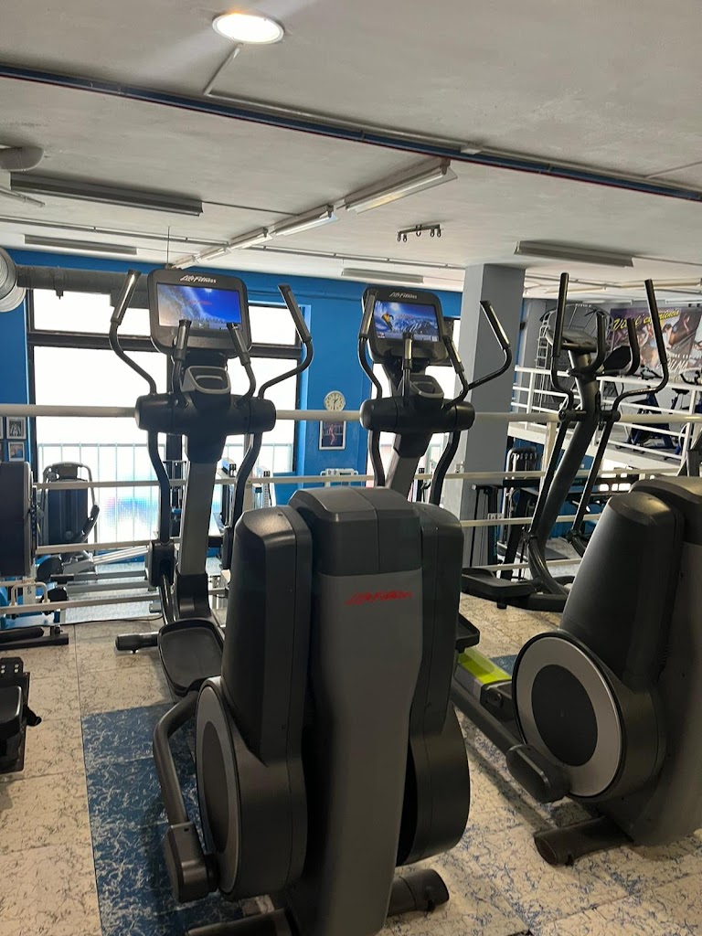 Gimnasio Gilma