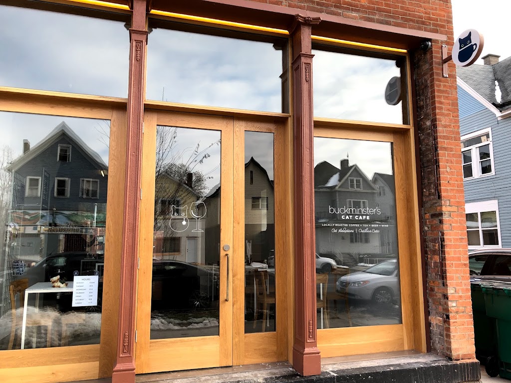 Photo of Buckminster's Cat Cafe