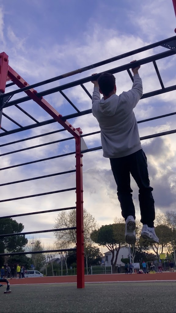 Calistenia Torrelodones