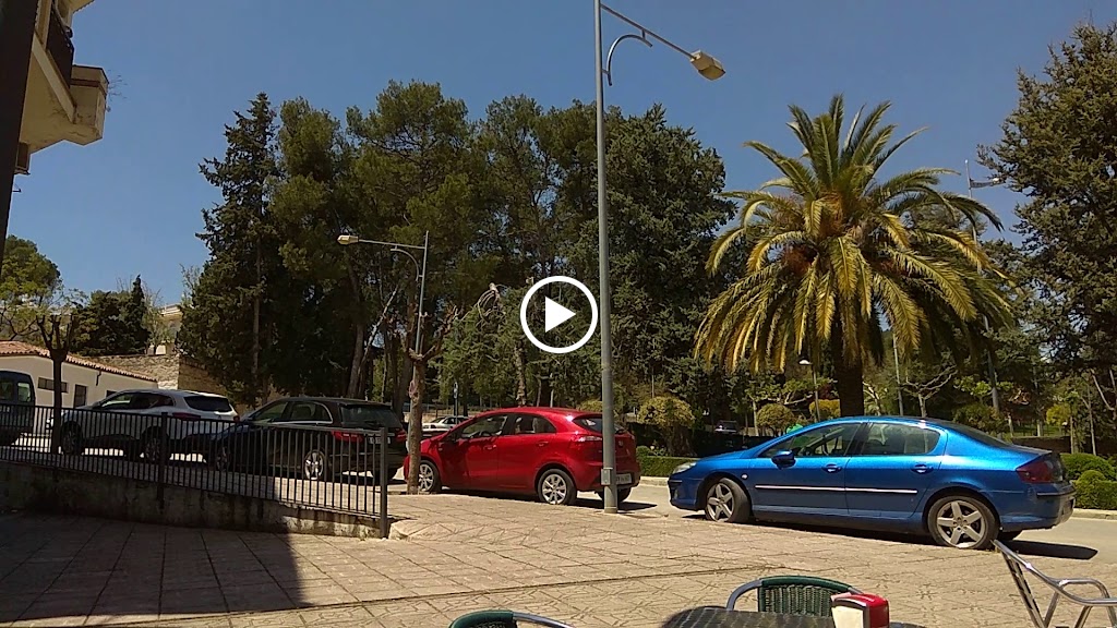 Restaurante "Las Palmeras" — Videos