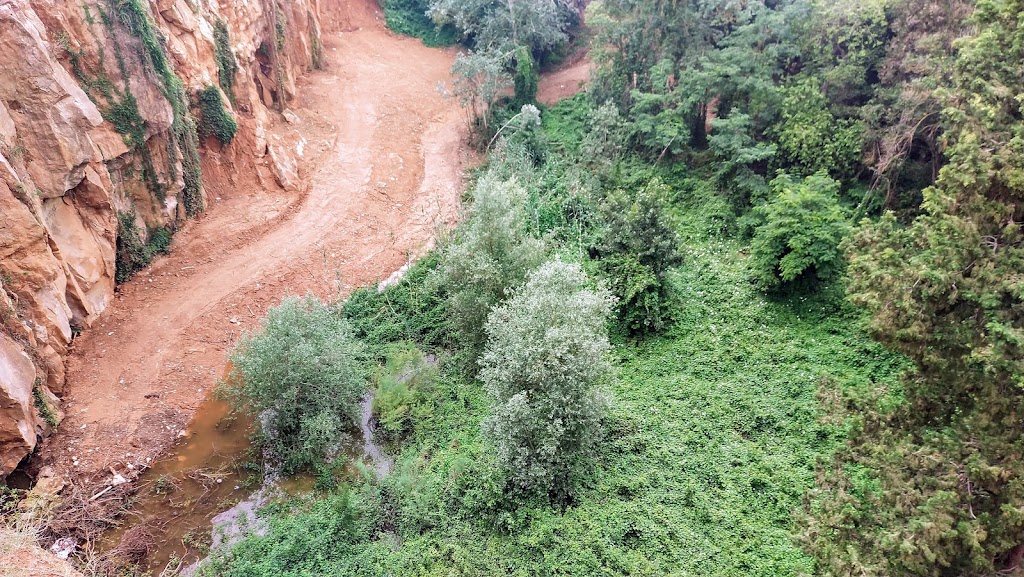 Pantano de la Foixarda