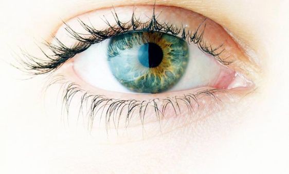 Saijyothi Eye Hospital