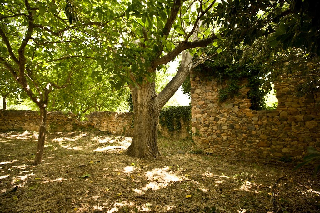 Museu d'Historia de Cambrils- Moli de l'Ardiaca