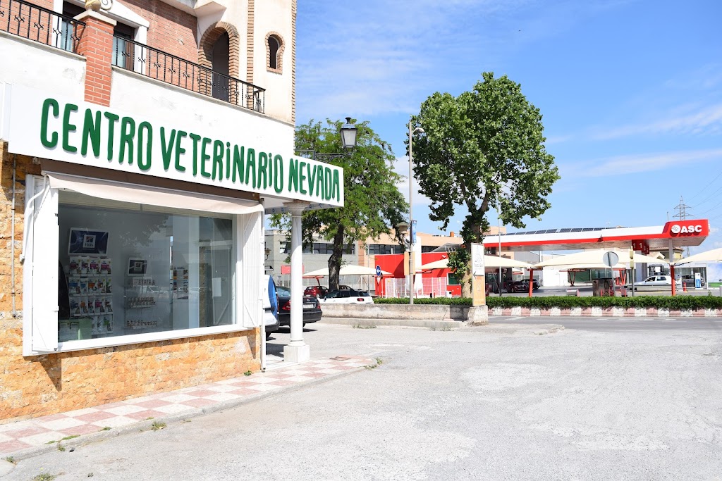 Centro Veterinario Nevada