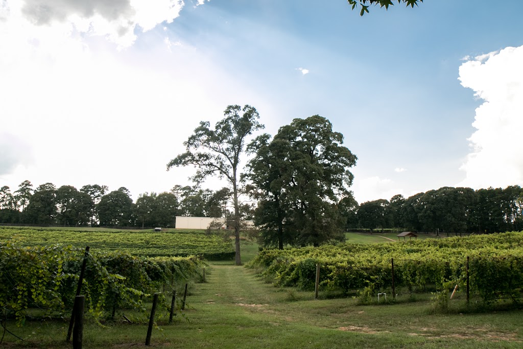 Field