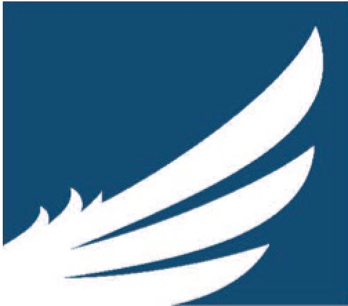  Flying Dutchman Gymnastics