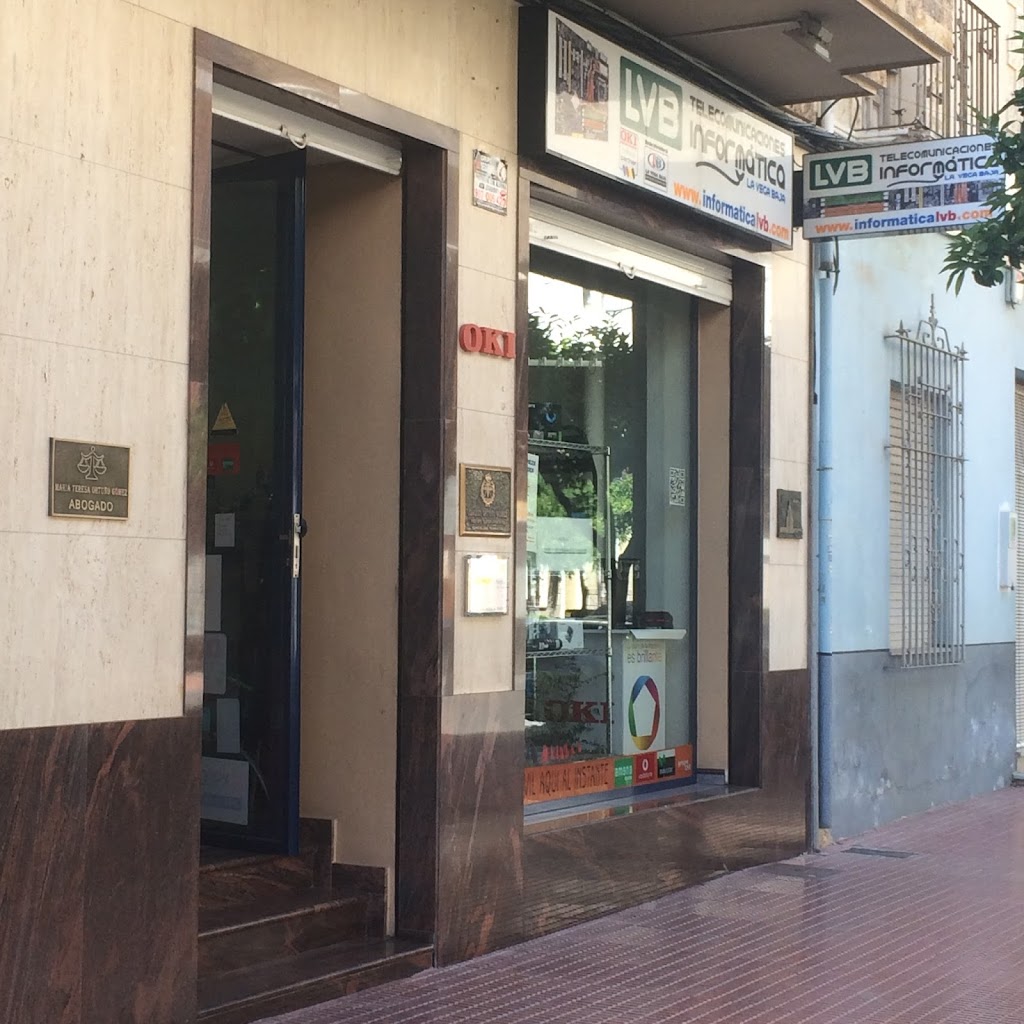 La Vega Baja Servicios Telematicos SL