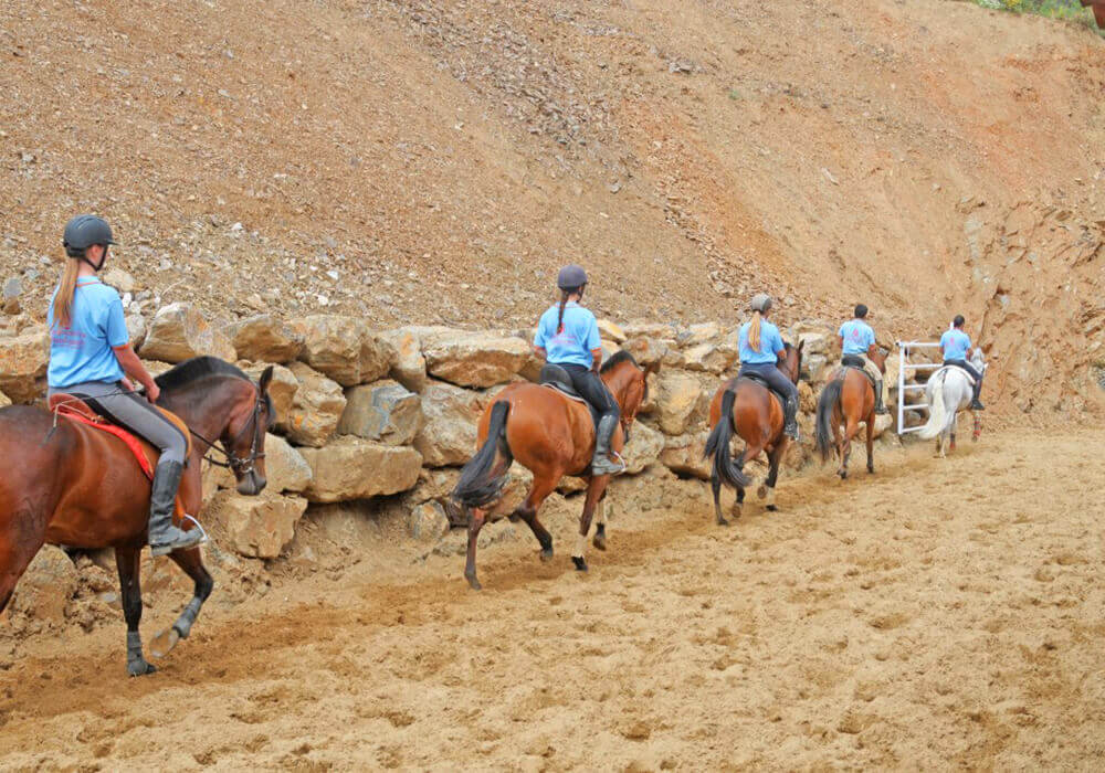 Escuela Ecuestre en Marbella : Hacienda Monte Marina Club Hipico