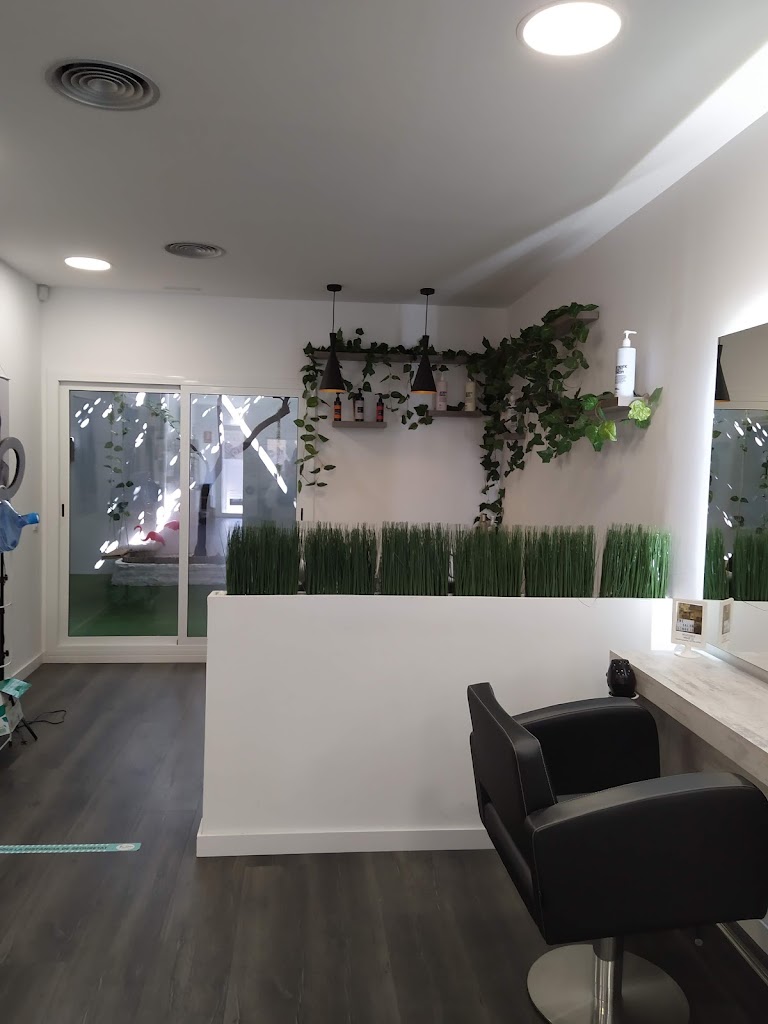 The Salon — Interior