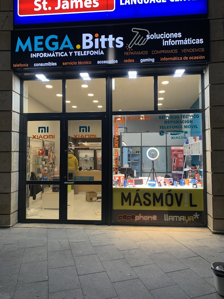Mega-Bitts Informatica