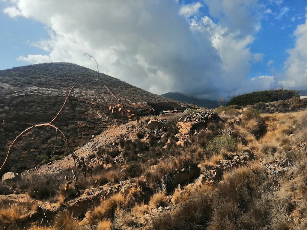 Aridos Puertito de Guimar