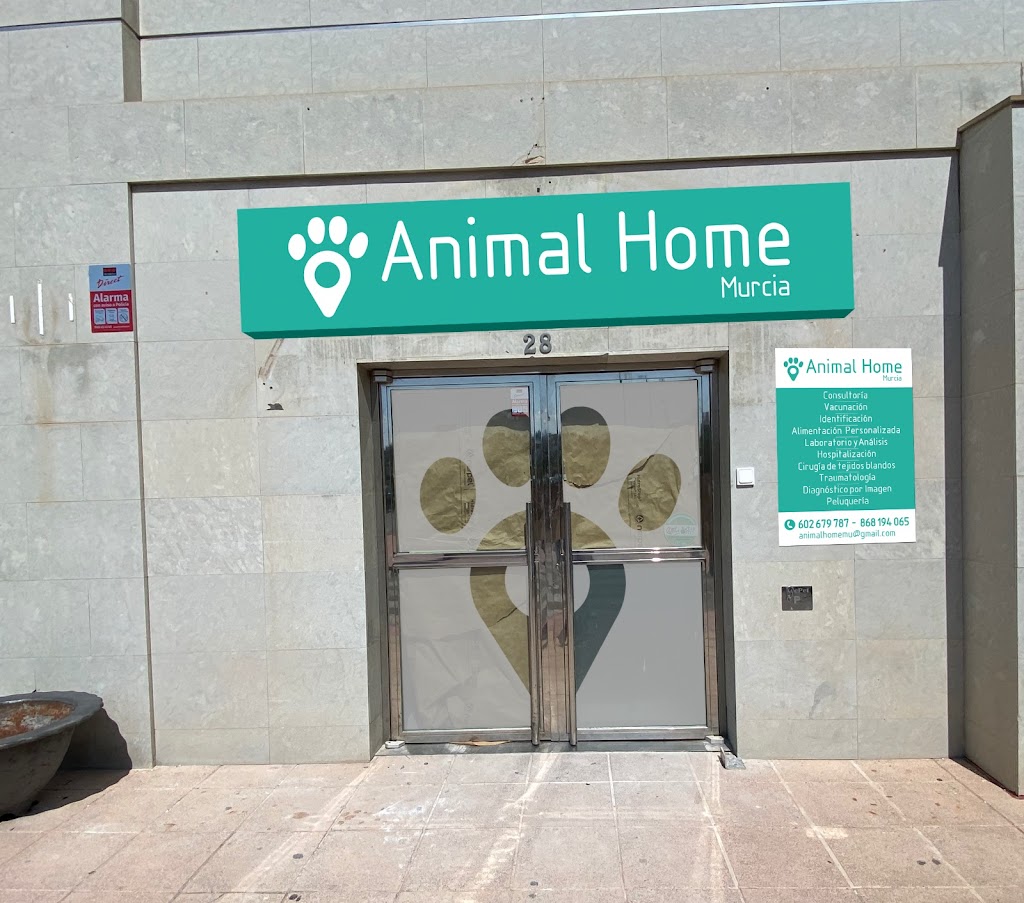Animal Home Murcia — Del propietario