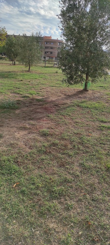 Parque para perros La Mullera