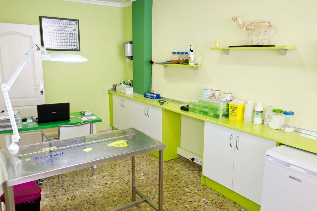 Centro Veterinario Paraiso