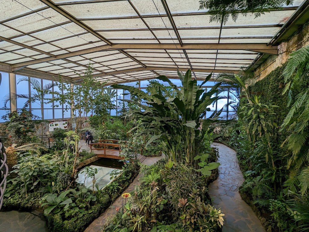 Mariposario del Drago