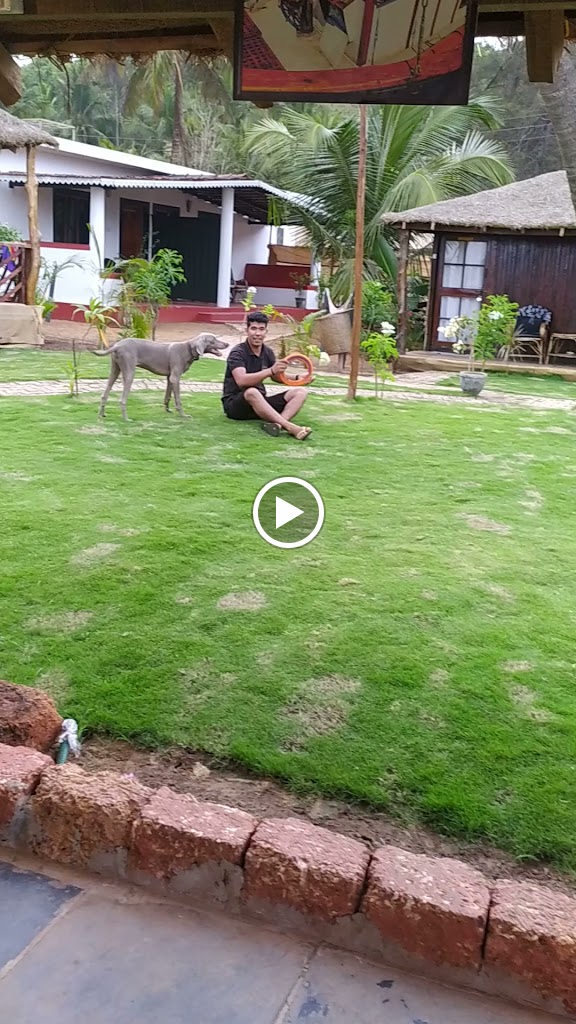 Videos