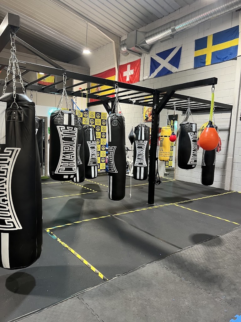 Skull Boxing Valdemoro — Gimnasio