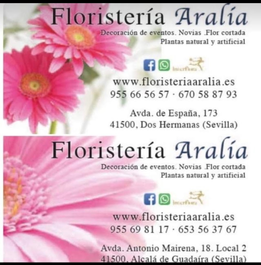 Floristeria Aralia - Dos Hermanas — Del propietario