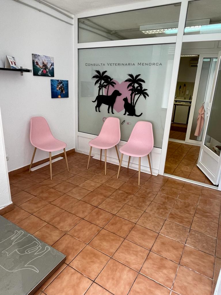 Consulta Veterinaria Menorca — Del propietario