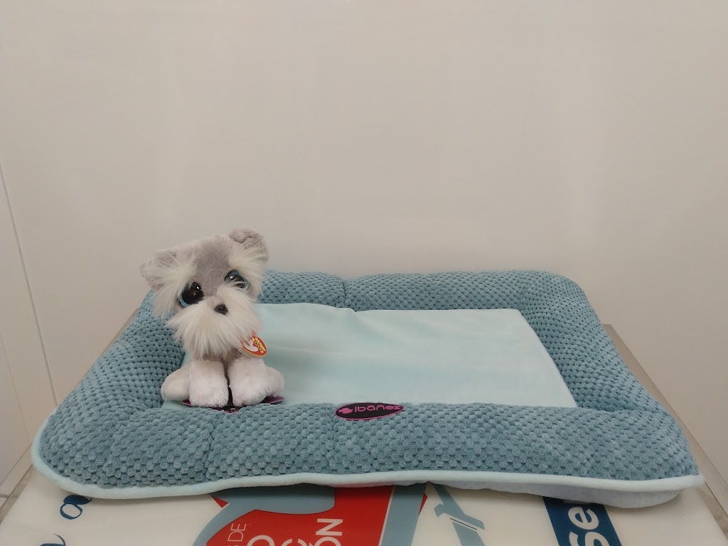 ALJARAQUE CENTRO VETERINARIO