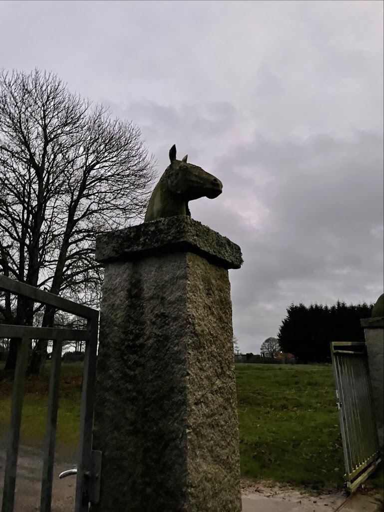 Centro Hipico Os Castineiros