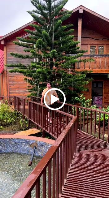 Videos