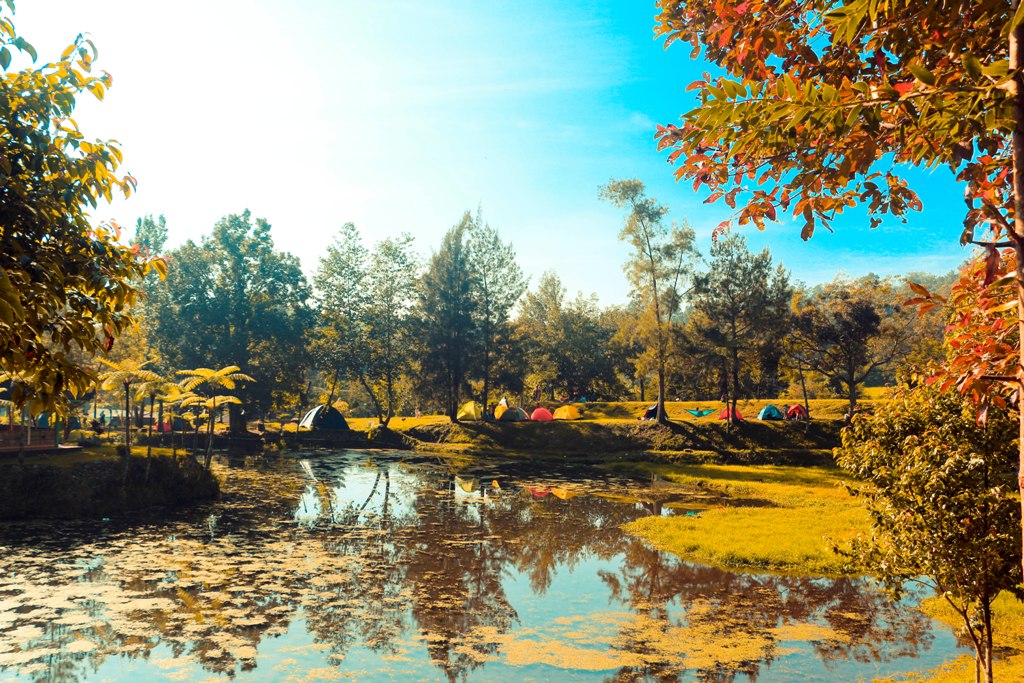 Mandalawangi Cibodas