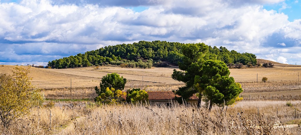 Cerro Cabeza de Aguila o cerro de las Vinas