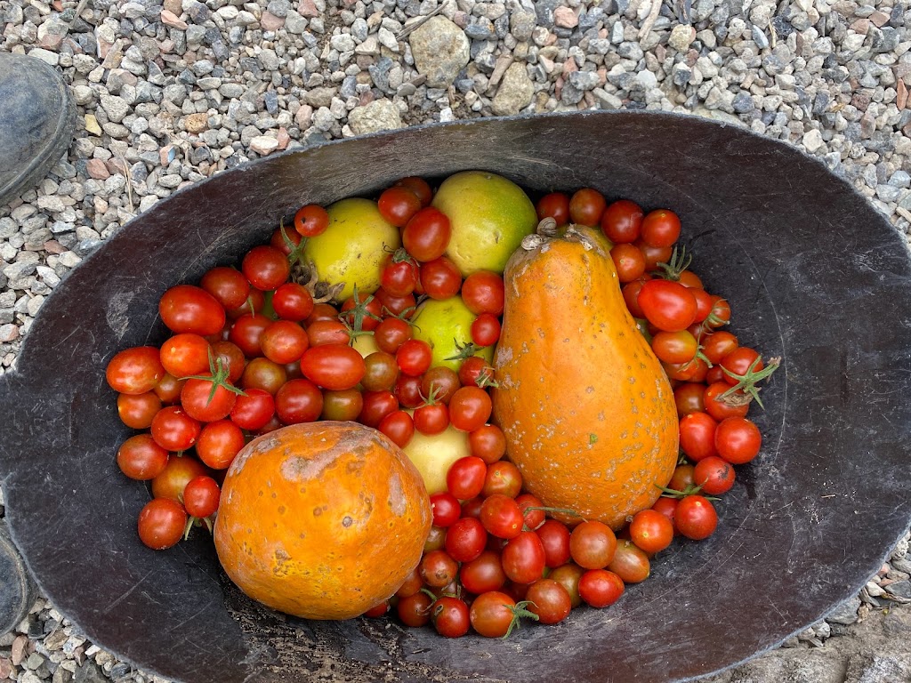 Finca Ecuestre Essential — Comida y bebida