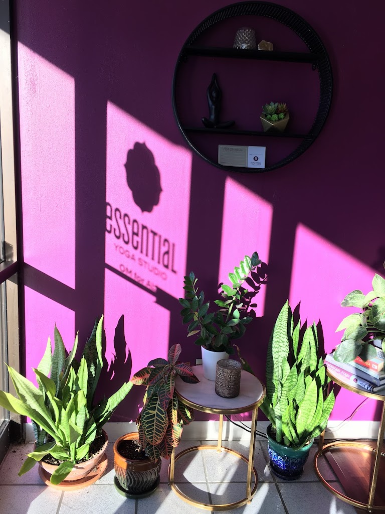  Essential Yoga Studio