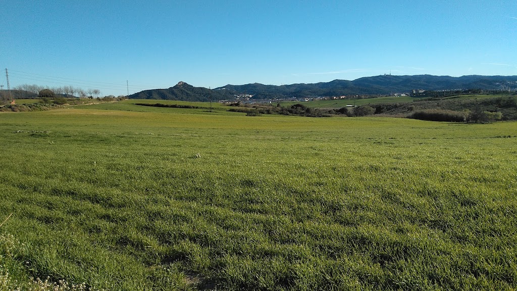 Zona de Vuelo Paramotor Montcada