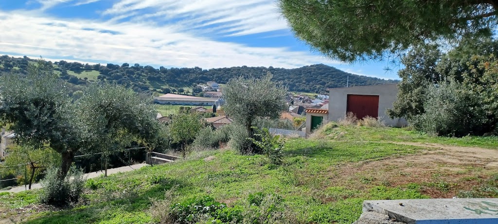 Camino de Pepino a Cervera de los Montes