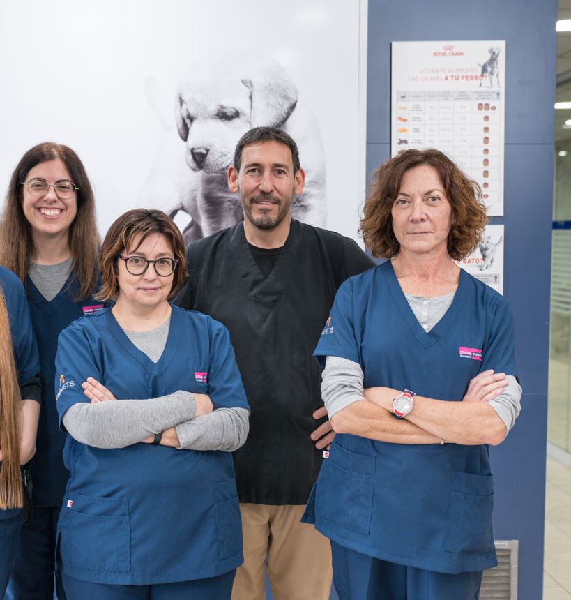 Clinica Veterinaria Tordera
