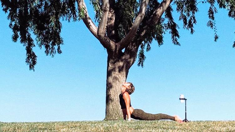  Tapestry Yoga and Pilates