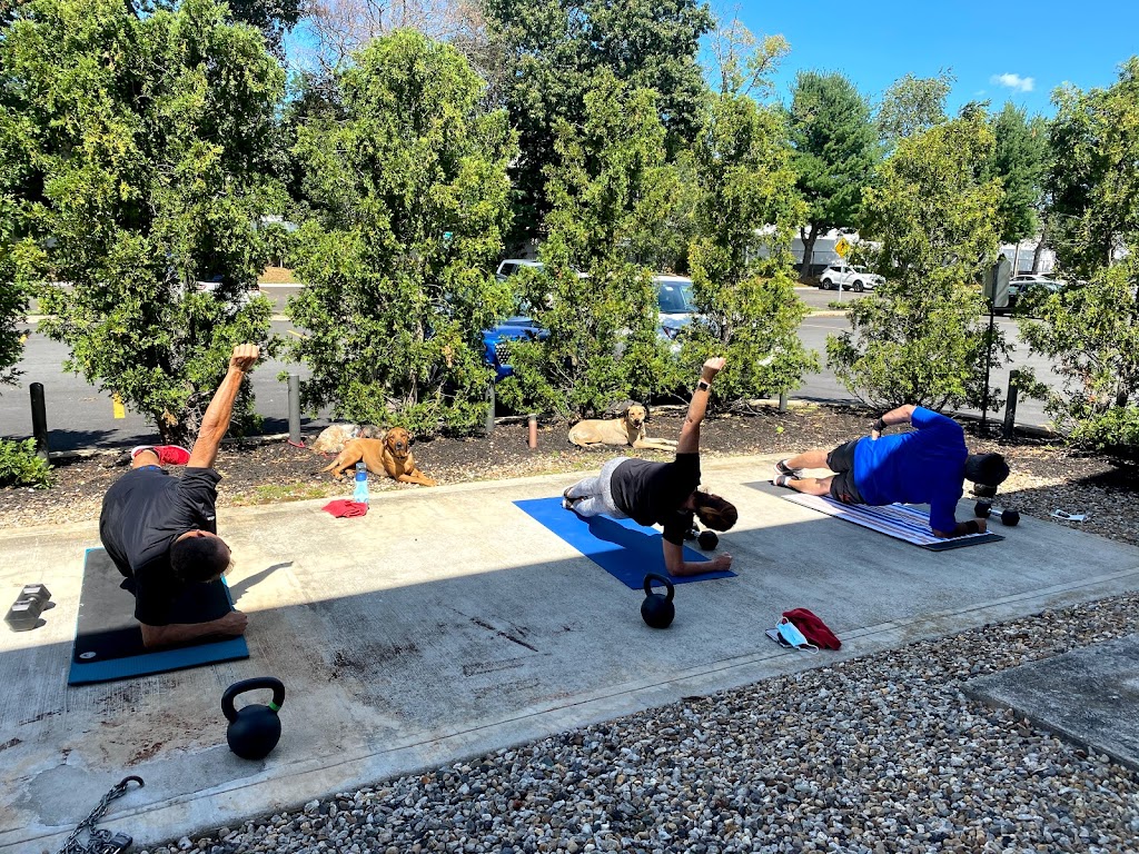  High Function Fitness