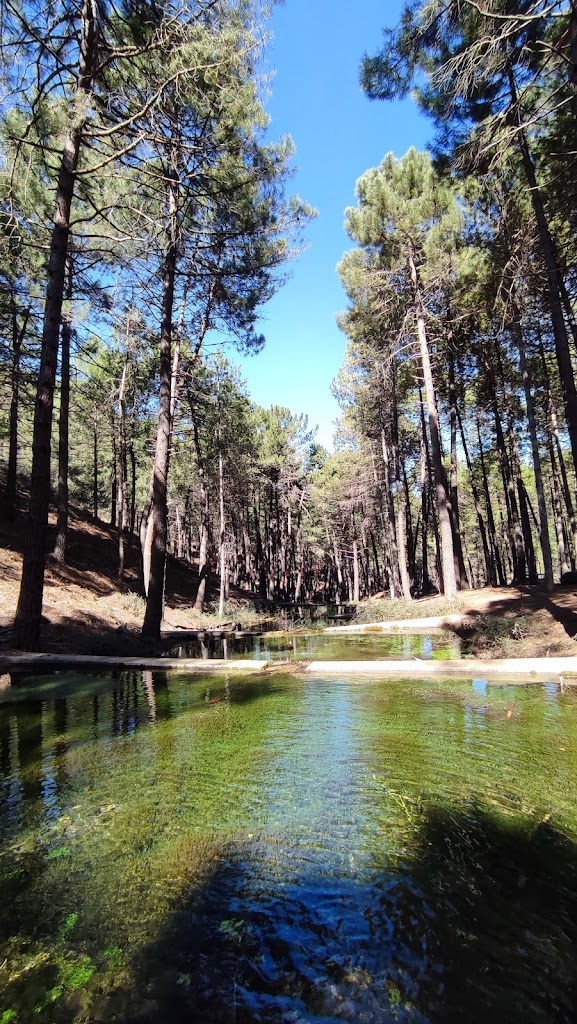 Entrada al Nacimiento del Rio Turruchel
