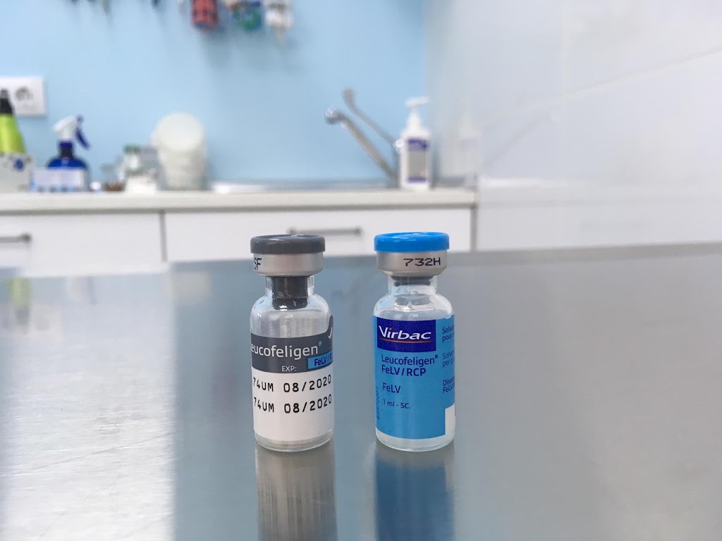Clinica Veterinaria Los Montes - Centro veterinario en Tres Cantos — Del propietario