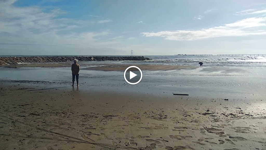 Restaurante La Tagliatella | Puerto de Sagunto — Videos