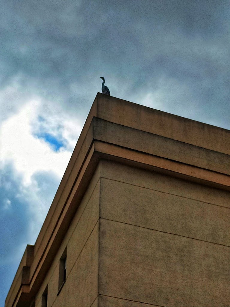 APARTAMENTO CENTRO JARDINES TEMPUL