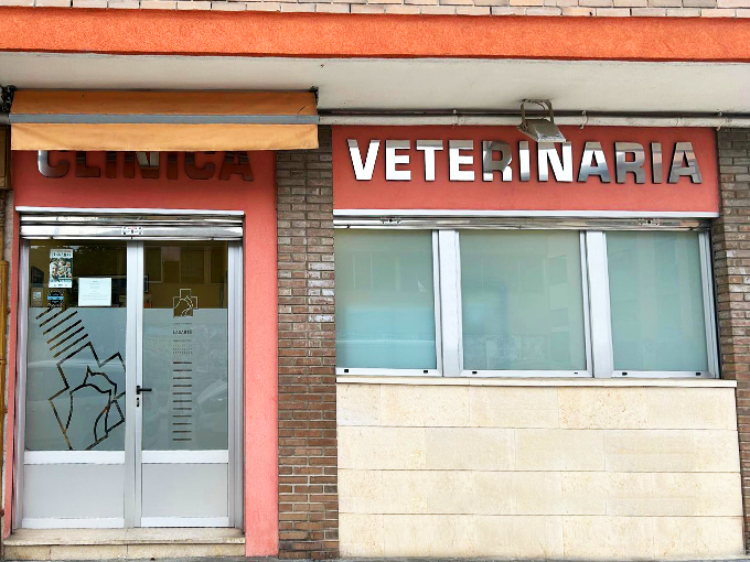 Clinica Veterinaria Lasarte