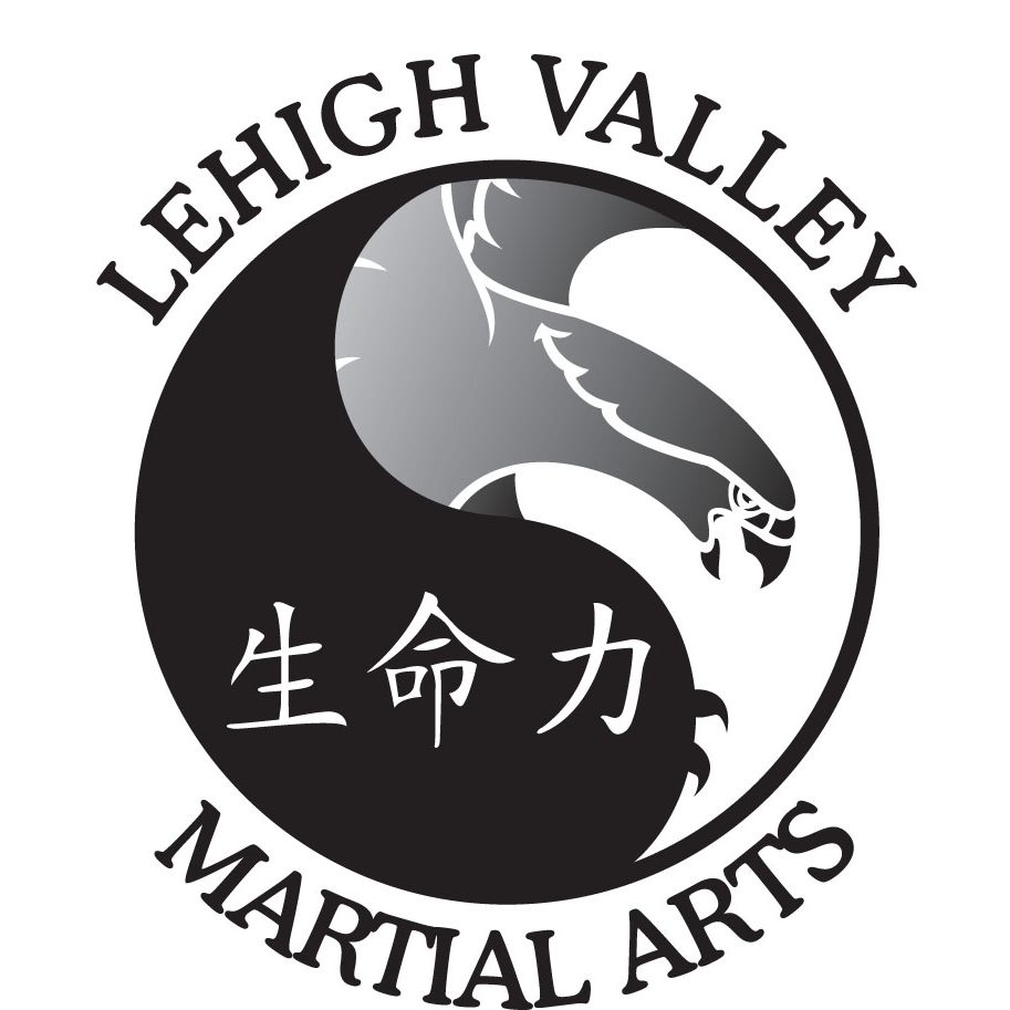  Lehigh Valley Martial Arts: Palmer