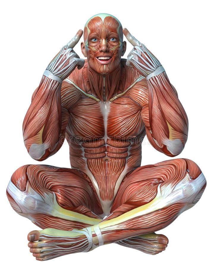 Neurociencia y Movimiento